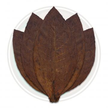 Colombian Cigar Binder Whole Tobacco Leaf